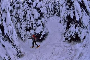 Snowshoeing in Asiago Plateau